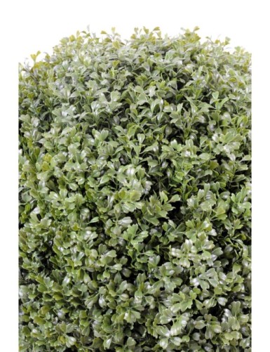 BOXWOOD BALL REGULAR NEW