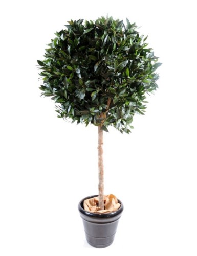 LAUREL ESFERA LUXE TALLO