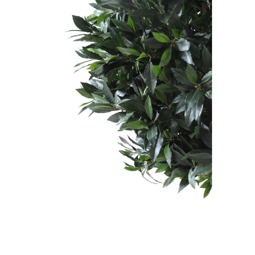 LORBEERBAUM KUGEL LUXE STAMM