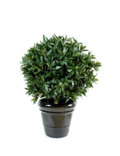 LORBEERBAUM KUGEL LUXE