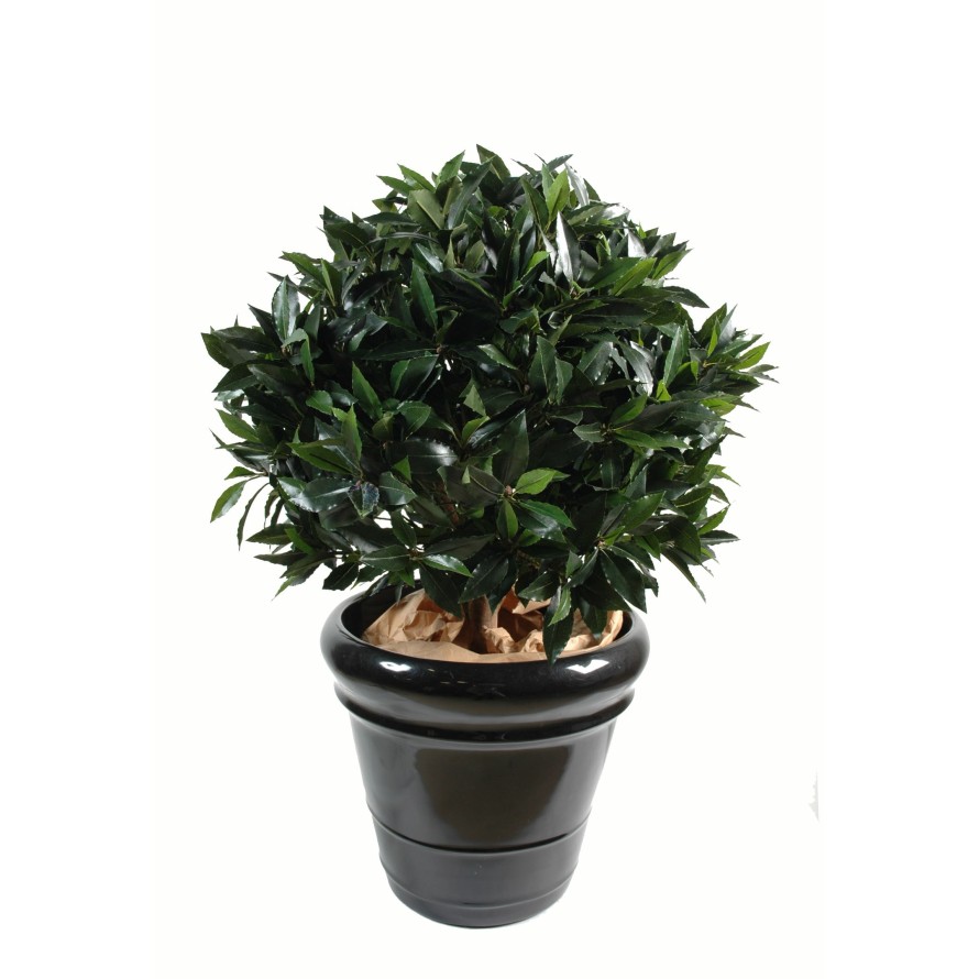 LORBEERBAUM KUGEL LUXE