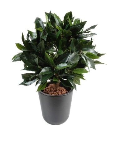 LORBEERBAUM KUGEL LUXE