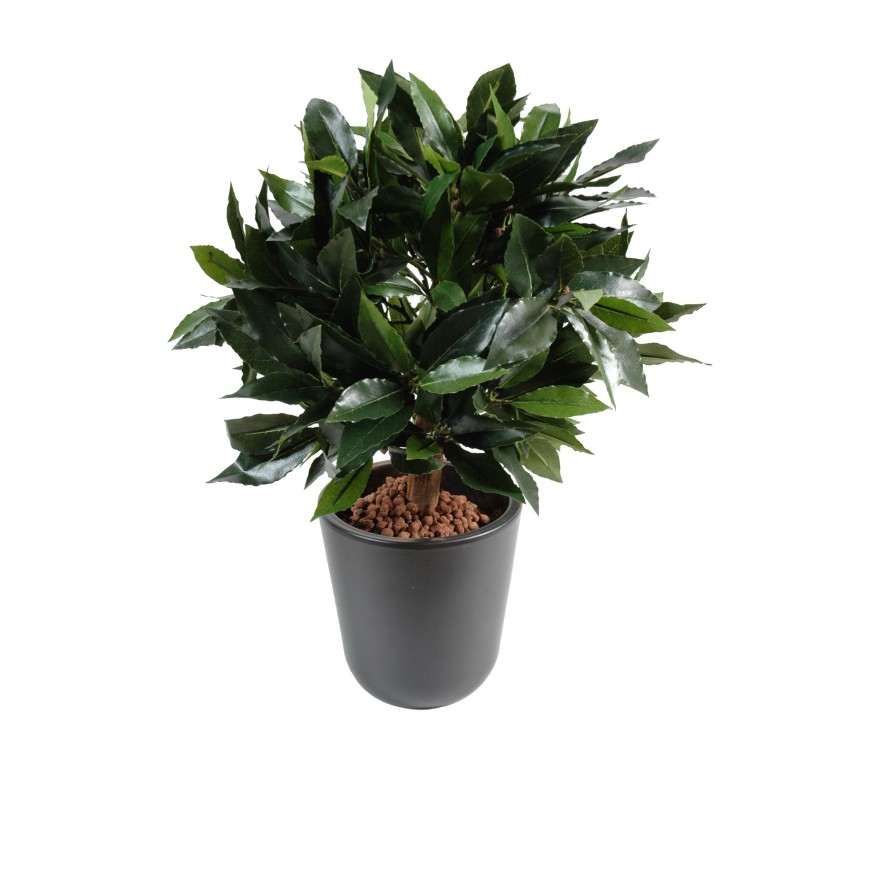 LORBEERBAUM KUGEL LUXE