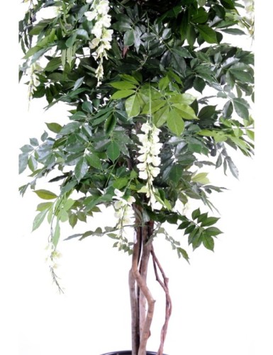 BLAUREGEN MULTI TREE