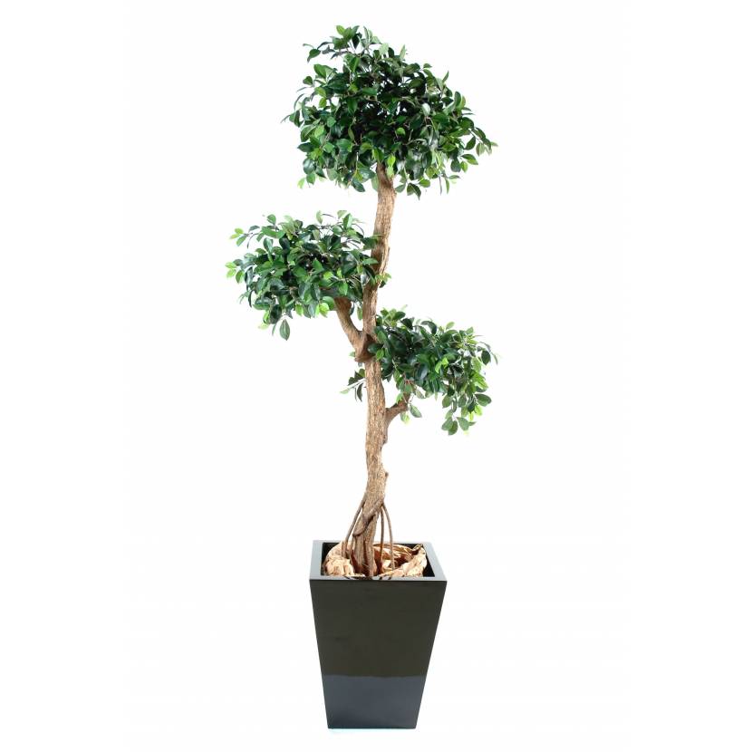 Ficus artificial RETUSA CRAZY