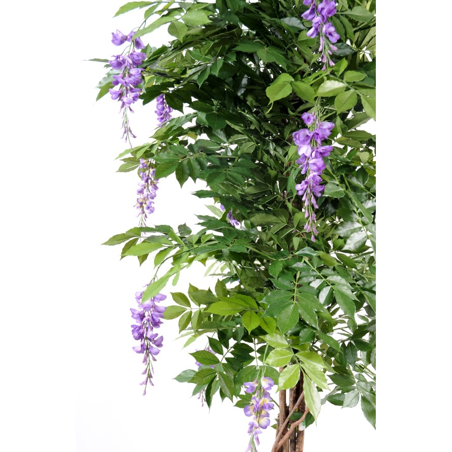 BLAUREGEN MULTI TREE