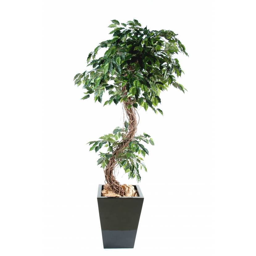 Ficus artificial S