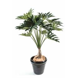 Philodendron artificiel SELLOUM *15