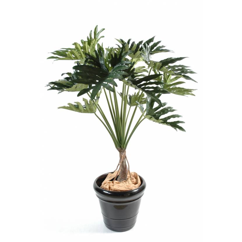 Philodendron artificiel SELLOUM *15