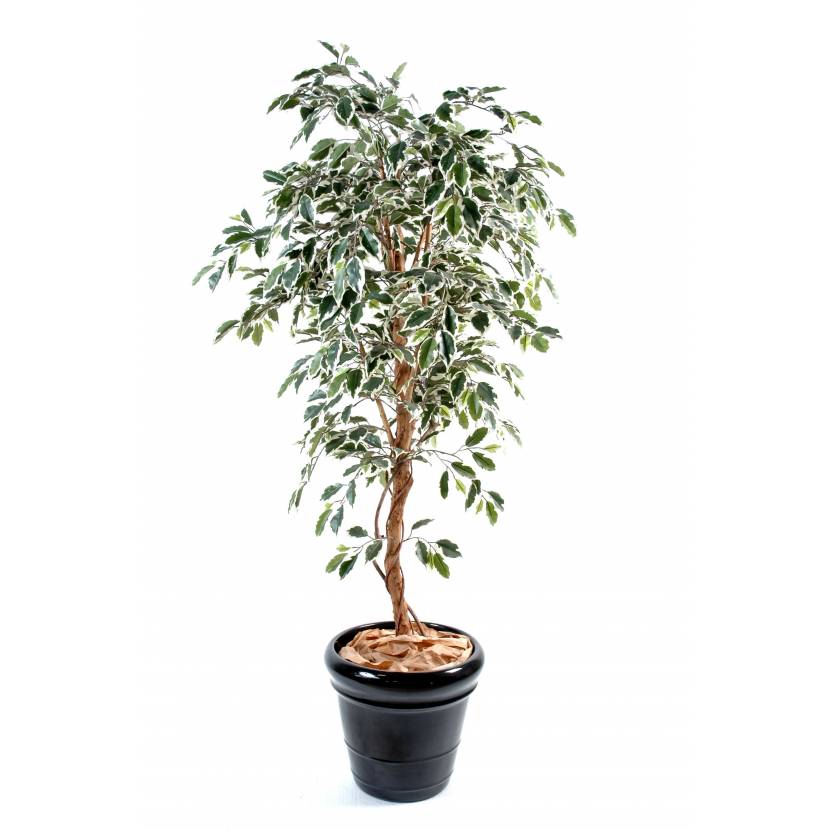 Ficus artificiel tronc simple