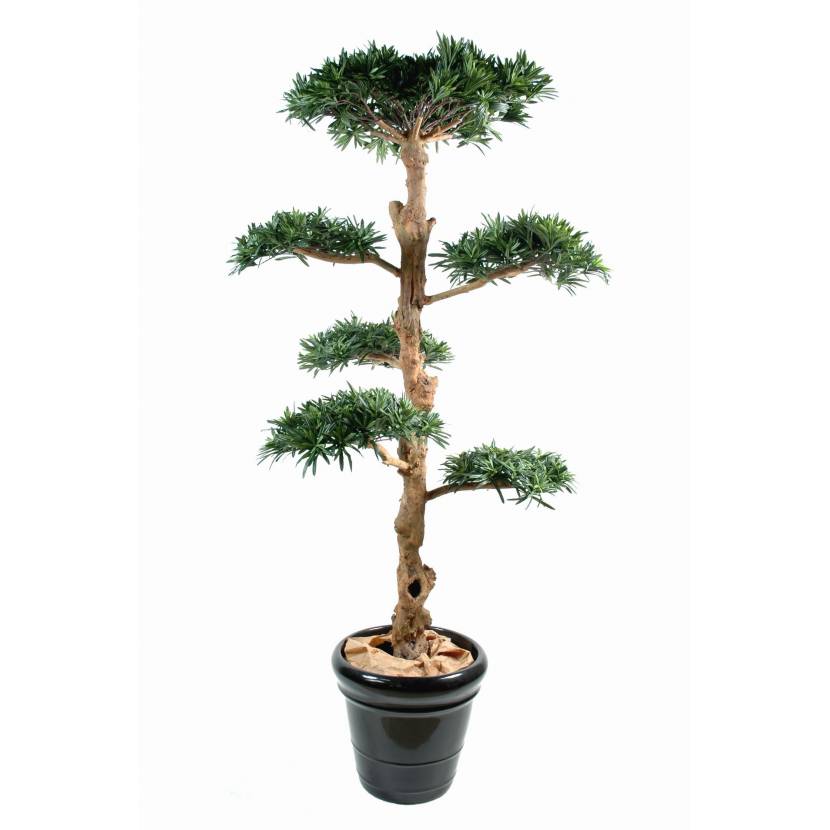 Podocarpus artificiel NUAGE LARGE
