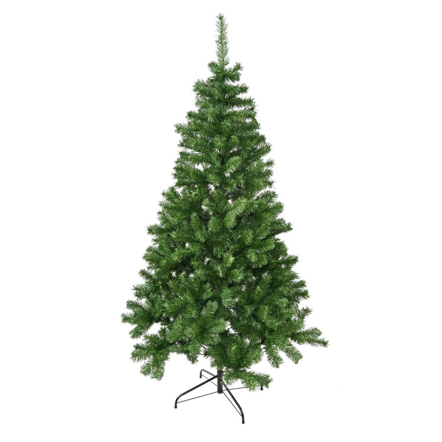 KANADISCHE TANNE (Weihnachtsbaum)