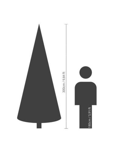 KANADISCHE TANNE (Weihnachtsbaum)