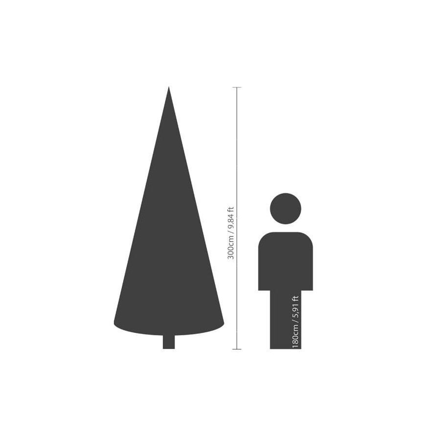 KANADISCHE TANNE (Weihnachtsbaum)