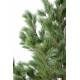 Pine artificial Austria WIDE