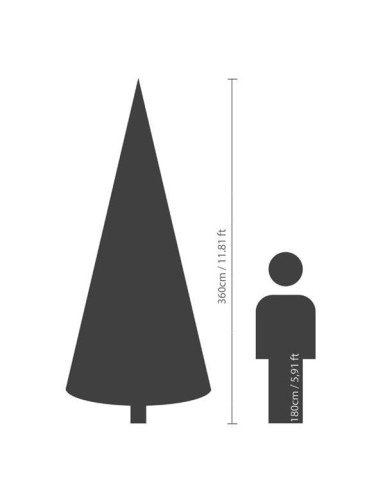 KANADISCHE TANNE (Weihnachtsbaum)