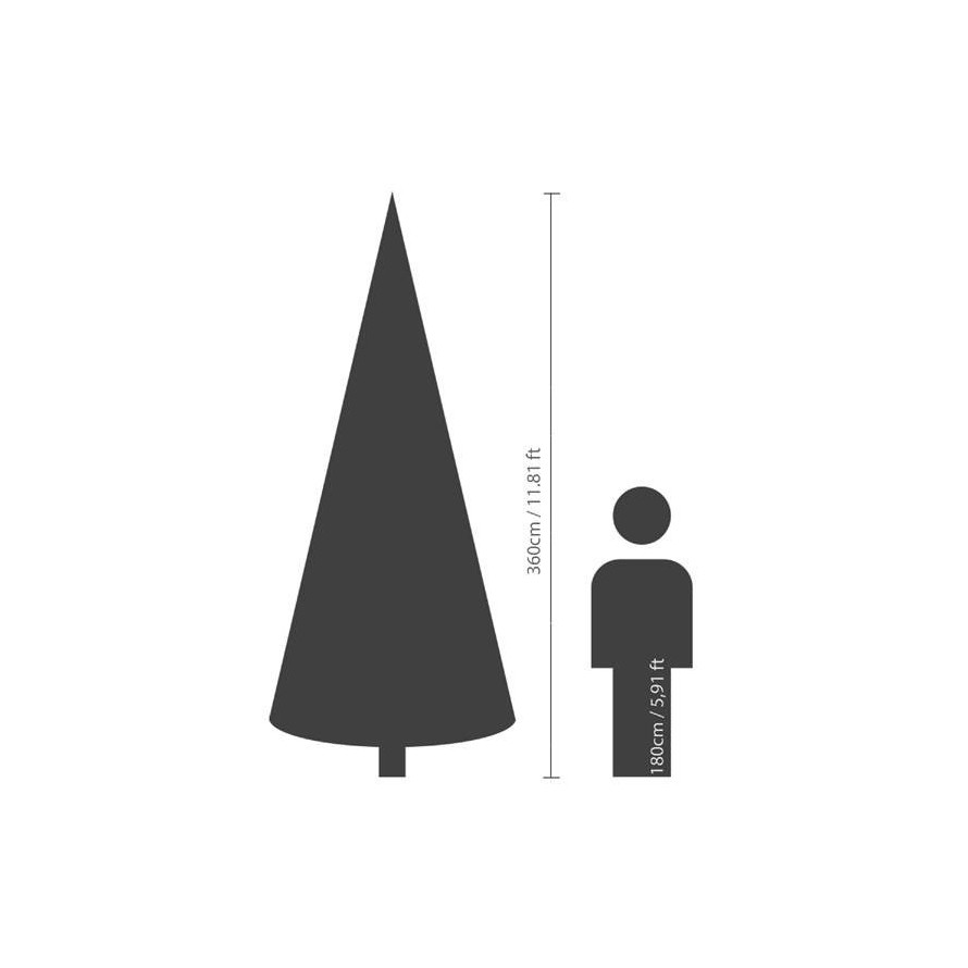 KANADISCHE TANNE (Weihnachtsbaum)