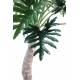 Philodendron artificial SELLOUM TREE