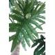 Philodendron artificial SELLOUM TREE