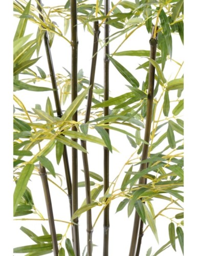 BAMBÚ VERDE S