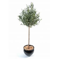 Olive tree artificial HEAD