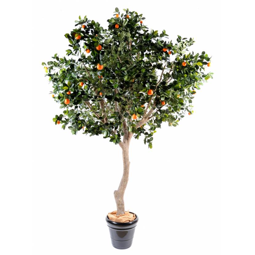 Artificial orange TREE WIDE TREE
