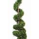Boxwood artificial SPIRAL NEW