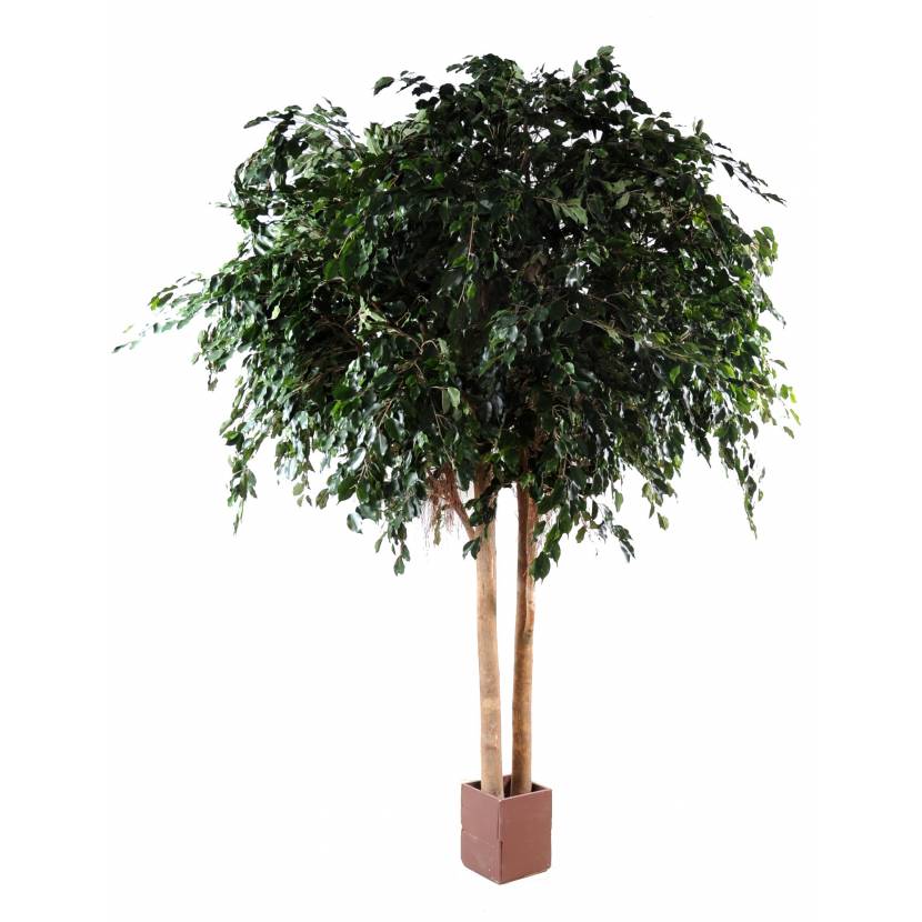 Ficus artificiel EXOTICA GEANT