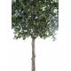 Fruitier artificiel PLATINE (camelia japonica tree)
