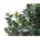 Fruit artificial PLATINUM (camelia japonica tree)