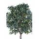 Fruitier artificiel PLATINE (camelia japonica tree)