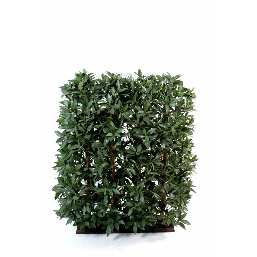 LAUREL Artificial HEDGE to ALL SIDES