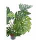 Philodendron artificial GEANT*15