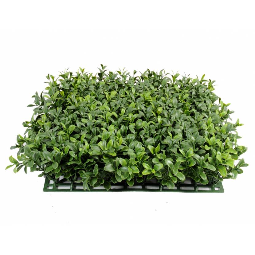 Artificial boxwood PLATE NEW*300