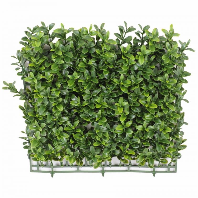 Boxwood artificial PLATE NEW *140