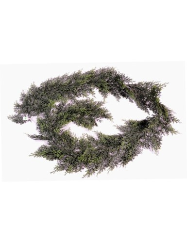 CIPRÉS GUIRNALDA *117