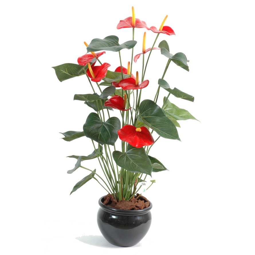 ANTHURIUM *9 EN MACETA