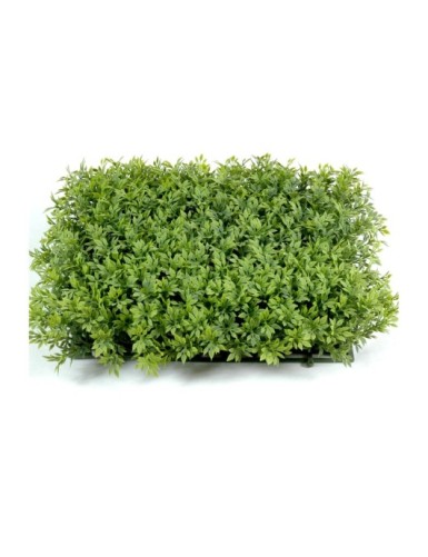 GRÄSER PLATTE 27 × 27