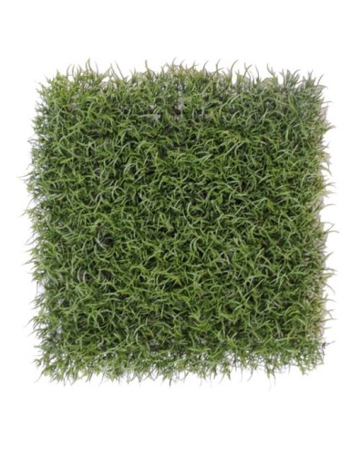 GRAS FEIN DEKOPLATTE