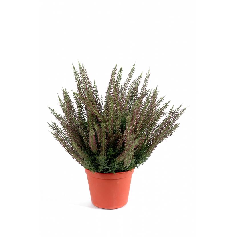 Bruyere artificial with large potted