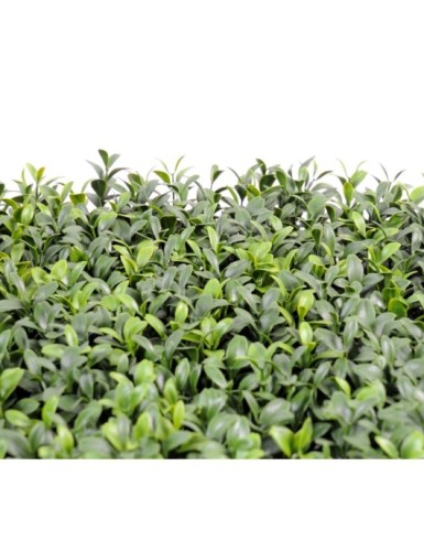 BOXWOOD PANEL NEW *300