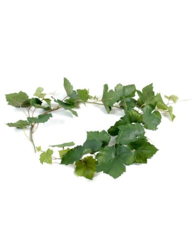 WEINREBE GIRLANDE