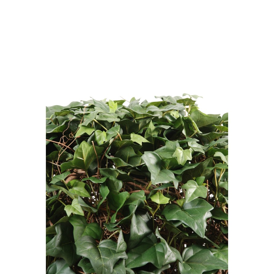 IVY BALL (Net promotional price)