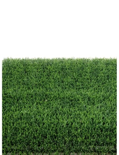 HERBE PLAQUE 70 (promo net)