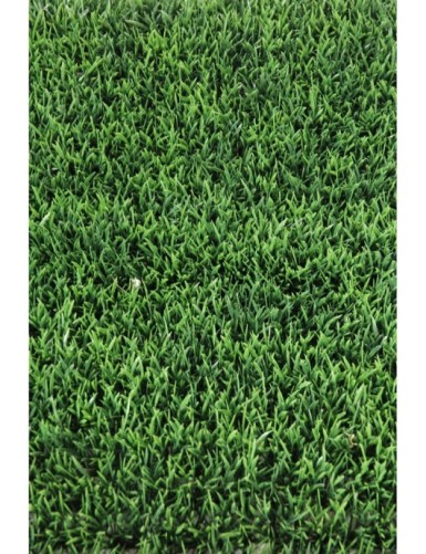 HIERBA PANEL 70 (Precio neto promocional)