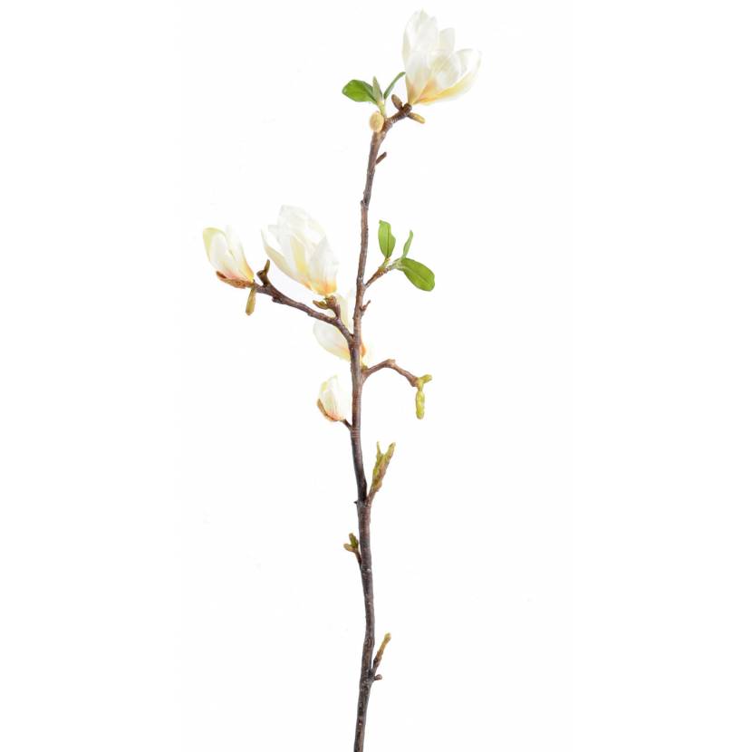 Magnolia artificial 83
