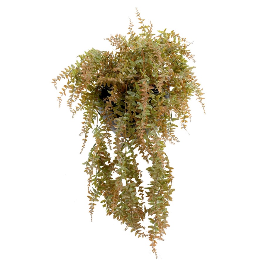 FERN HANGING BUSH PLAST 186LL