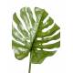 Philodendron artificial STEM