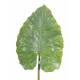 Alocasia artificial leaf giant