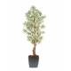 Dracaena artificial POTTED CARRE